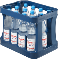 Förstina Naturell 12x1,0l Pet