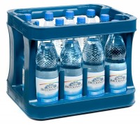 Bad Brückenauer Spritzig 12x1,0l Pet
