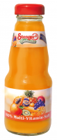 Stenger Multi- Vitamin- Mehrfruchtsaft 12x0,2l Stenger Multi- Vitamin- Mehrfruchtsaft 12x0,2l