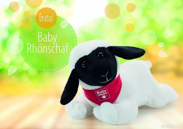 Baby Rhönschaf
